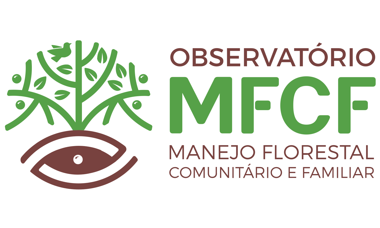 Observatório MFCF – Observatório de Manejo Florestal Comuniário e Familiar
